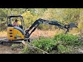 Farm Vlog//Using excavator to dig up huge cluster stumps// My heart is broken, Goodbye Gracie