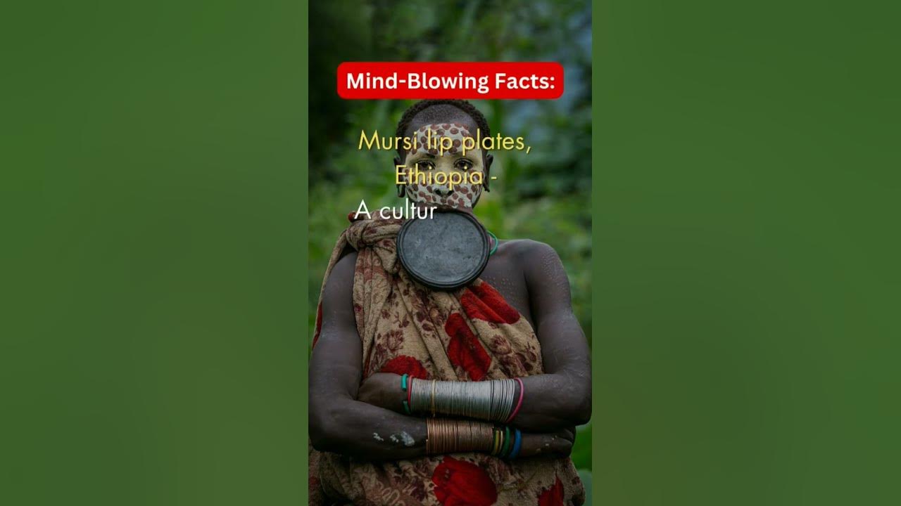 Mursi Lip Plates Tradition facts mindblowingfacts viral shorts preetsfactfinds YouTube