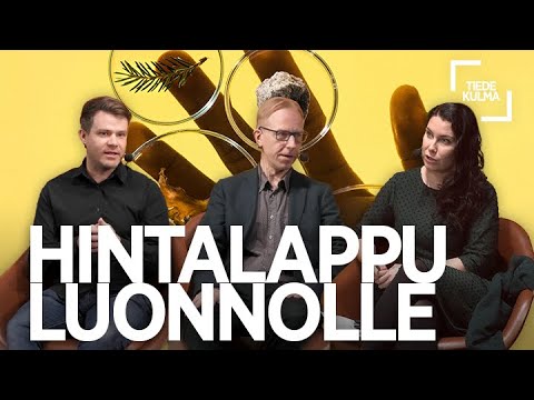 Video: Hanki Creative - hauskoja ja epätavallisia designideoita aidat