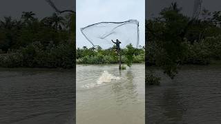 River big catfish catch by net fishing #shorts #fishingvideo #riverfishing #fishinglife #funny