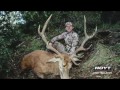 Hoytkillshot  adam greentree stag