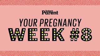 Your pregnancy: 8 weeks