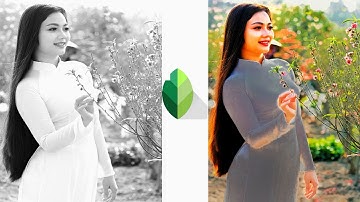 Snapseed Color Effects Editing || Amazing Editing Tricks || Best Color Effect