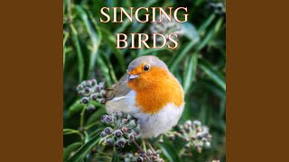 Singing Birds - Part 1
