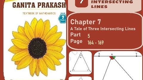 Class 7 Ganita Prakash Chapter 7 A Tale of Three Intersecting Lines Part 5 Page 164 - 169 & Exercise