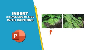 how to insert 2 image side by side in PowerPoint with captions