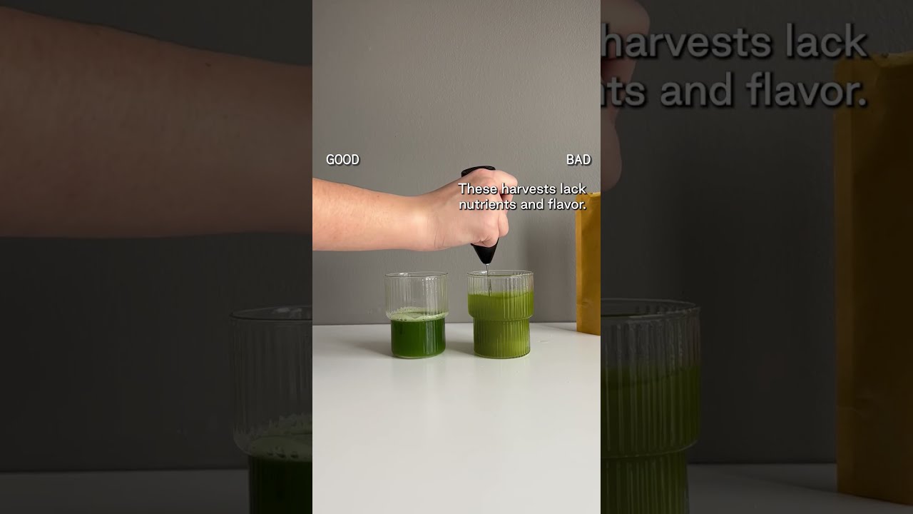The Difference Between Good And Bad Matcha