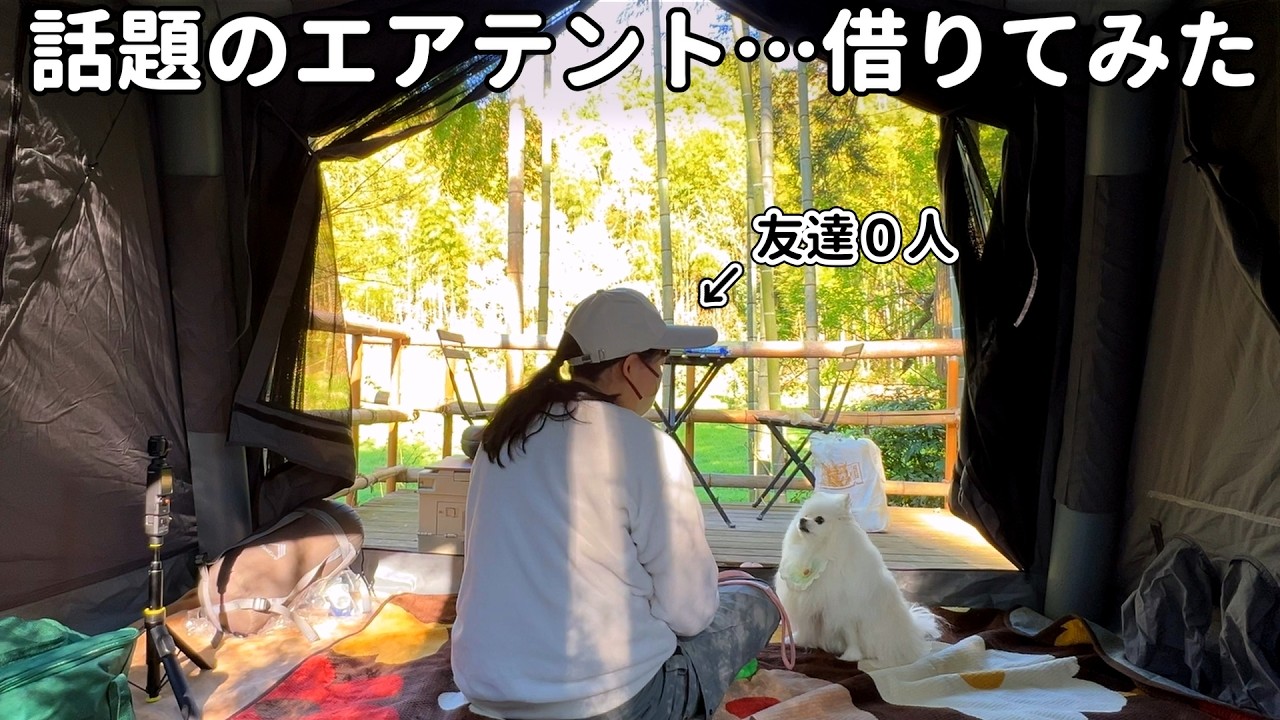 犬しか友達が居ないアラサー独身女。猫だらけの不思議なキャンプ場で最新型エアテントを立てる