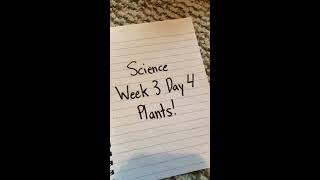 Week 3 Day 4 Lesson