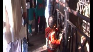Hamza Aur Shamir Lhore Zoo