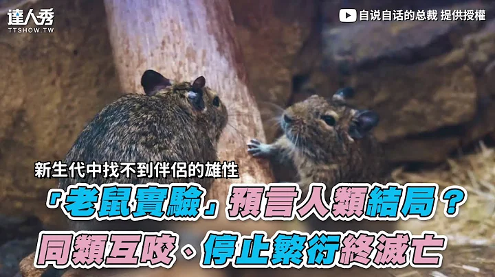 【“老鼠实验”预言人类结局？ 同类互咬、停止繁衍终灭亡】｜@STBoss - 天天要闻
