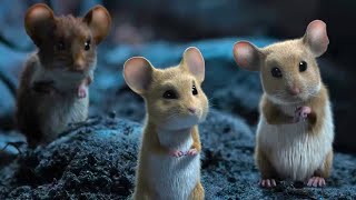 Мышиный переполох | Русский трейлер | Дубляж, 2025 | Все о фильме - garry.cool