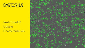 Real Time EV Uptake Characterization Using an Incucyte®️ Live Cell Imaging System