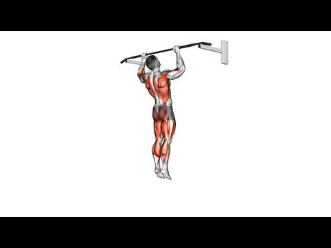 Mastering Bodyweight Jumping Pull ups： An Exercise Guide 11981201 Jumping Pull up Back FIX