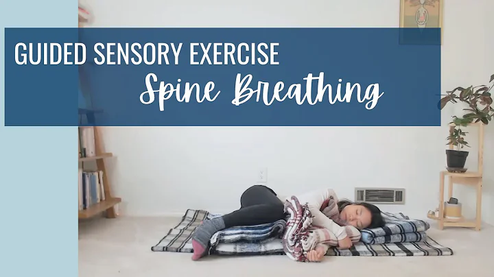 Spine Breathing Guided Sensory Exercise - Try this...