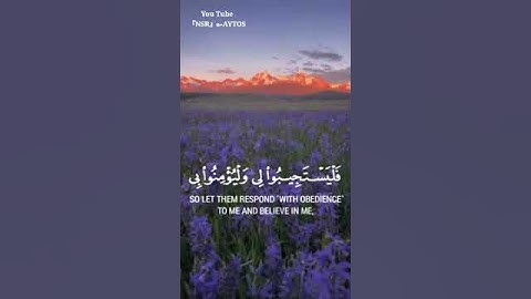 قرآن كريم بصوت القارئ: مشاري العفاسي|| أجمل حالات واتس اب دينيه || تلاوة خاشعة 🌿