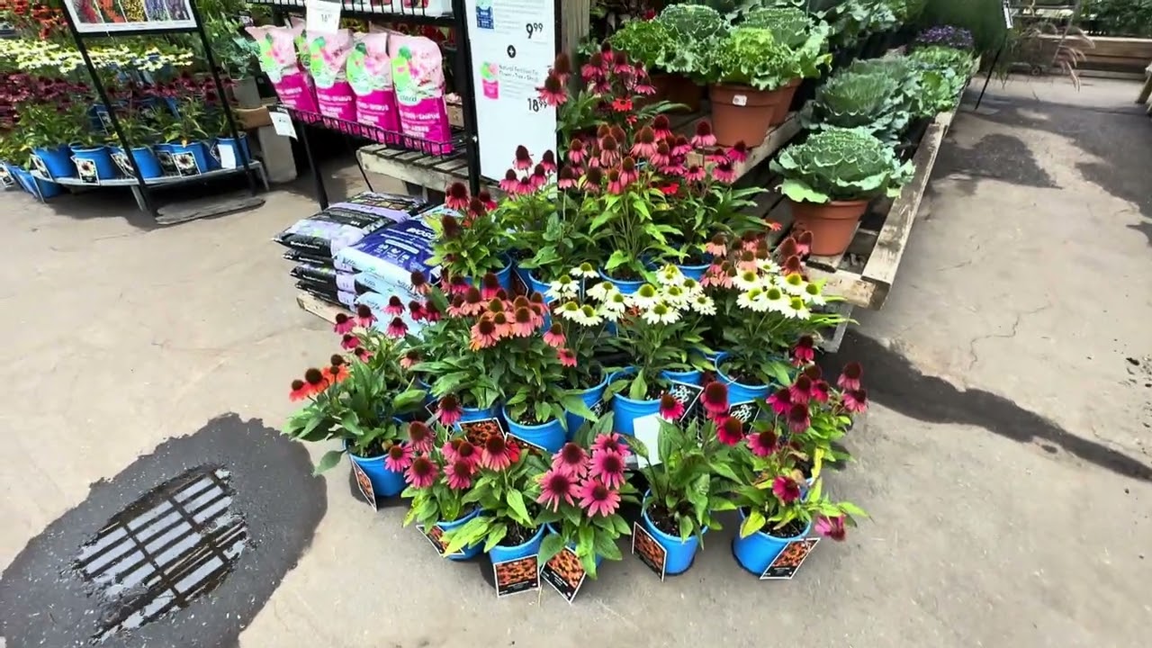 逛Sheridan Nurseries