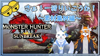 素材集め行こうか！ 🐺✨【てと！/狼系Vtuber】【MHRS:SB】