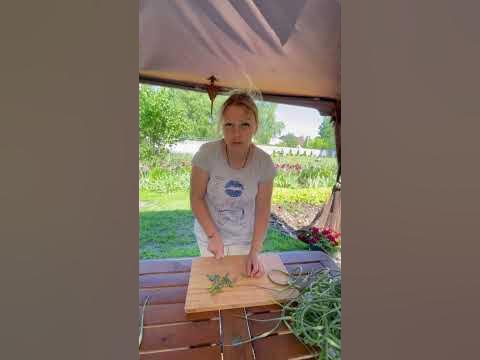Чесночный порошок - YouTube
