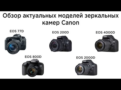 Обзор актуальной линейки зеркальных камер Canon с датчиком APS-C (EOS 77D, 800D, 200D, 2000D, 4000D)