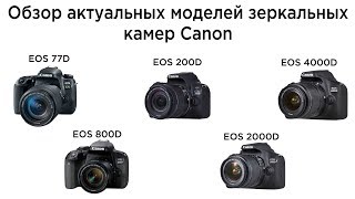 Обзор актуальной линейки зеркальных камер Canon с датчиком APS-C (EOS 77D, 800D, 200D, 2000D, 4000D)