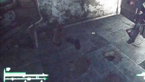 Fallout 3 - Physics Glitch