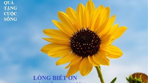 QUÀ TẶNG CUỘC SỐNG  - LÒNG BIẾT ƠN VÀ NIỀM MƠ ƯỚC