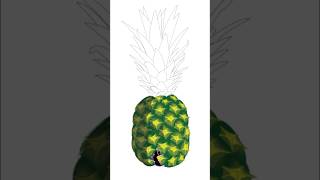 Pineapple Vector Drawing