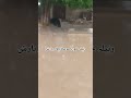 Heavy Rainfall in Ranila Khord🌧️ TodayWeather |Stunning Natural Views |#pakistanweather #Monsoon2026