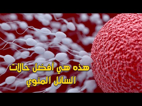 فيديو: ما وجهان الحمض النووي المتماسكين معًا؟