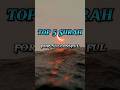 top 5 Surah for Successful in everything#viral #trending #islam #shorts #islamic #quran #video #top