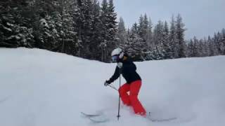 20170106 Revelstoke(5)