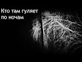 кто там гуляет по ночам |страшные истории перед сном|