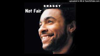 Shaggy Feat. Toni Seawright - Not Fair