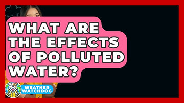 What Are The Effects Of Polluted Water? - Weather Watchdog
