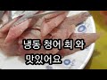 통영 오징어낚시 옥선장