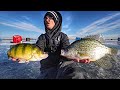 GIANT Perch/Crappie On THIN Ice!!!