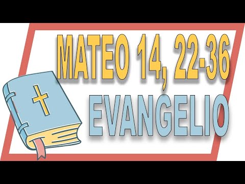 ✴️ EVANGELIO de HOY 8 de AGOSTO 📌 PADRE GUILLERMO SERRA - MATEO 14, 22-36