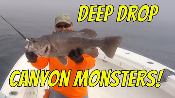 DEEP DROPPING Offshore of Virginia Beach (3rd trip of 2022)