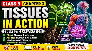 Class 9 Science Chapter 3 Tissues in Action | Complete Explanation in Hindi | NCERT Exploration