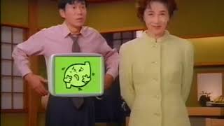 エーザイ『サクロン』 CM 【大原麗子・平田満】 1995/10