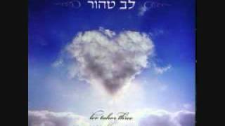 Video voorbeeld van "yidid nefesh by lev tahor"