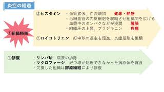 【コクシ解説】細菌感染による急性炎症で最初に反応する白血球はどれか【看護師国家試験第109回 午前 第24問】