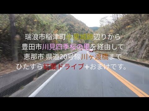 ひたすら紅葉ドライブ瑞浪市稲津町小里城址近くから川見シキザクラの里経由恵那市県道２０号川ヶ渡橋まで