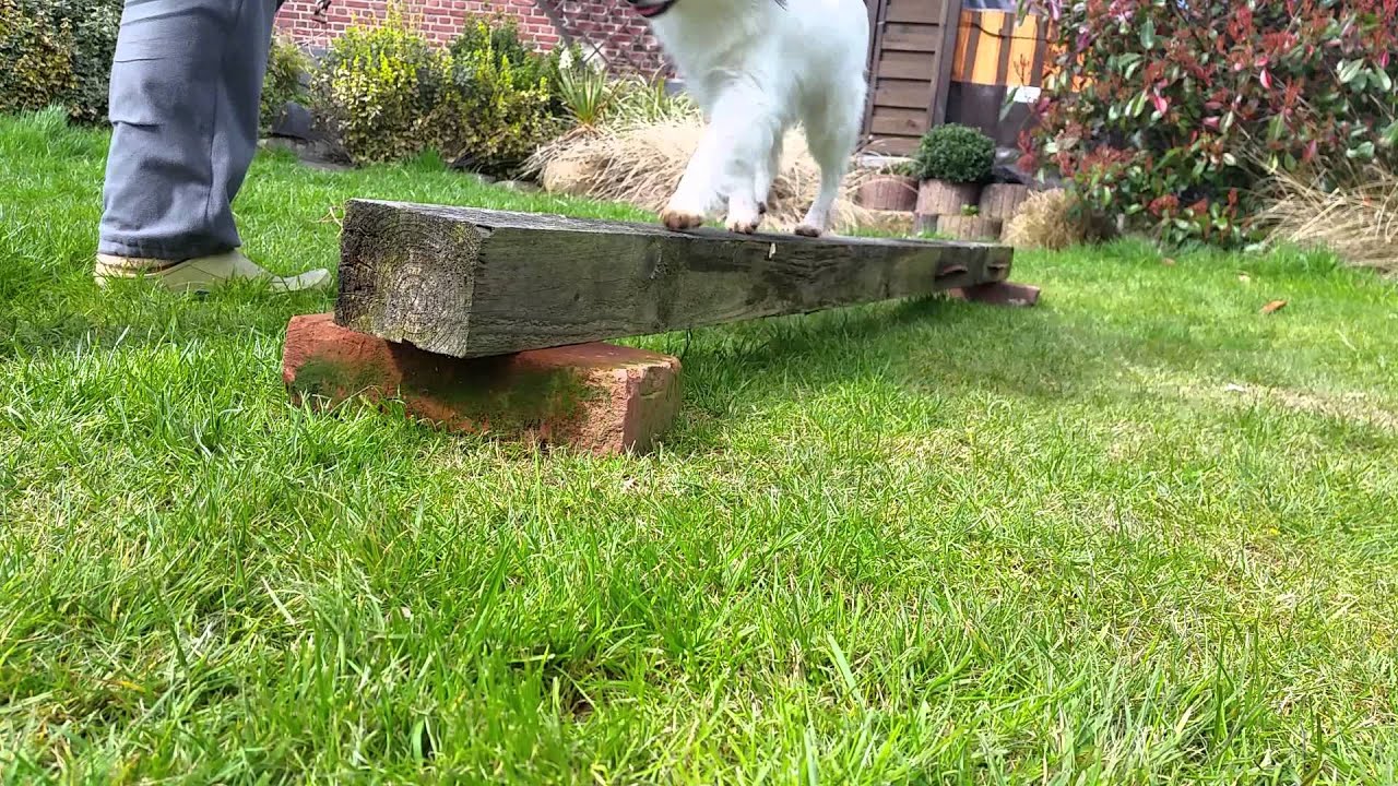 Bjelle Balance ramp - YouTube