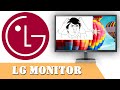 Брак монитор LG 27MK430H-B 27 Citilink.ru defect LG monitor defective