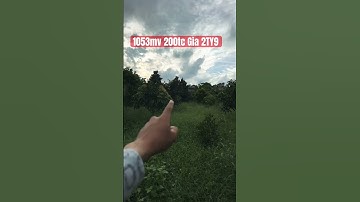 Vườn trái cây đủ loại #bbds #batdongsan #bdsdainam #automobile