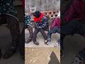 #shorts #funny #comedy #memes #viral #trending #ytshorts #youtubeshorts #usa #usashorts