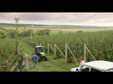 Video: Care este tipul de agricultură cel mai probabil să fie găsit în țările în curs de dezvoltare?