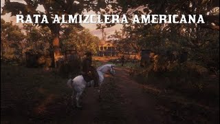 Red Dead Redemption 2 rata almizclera americana piel en perfecto estado